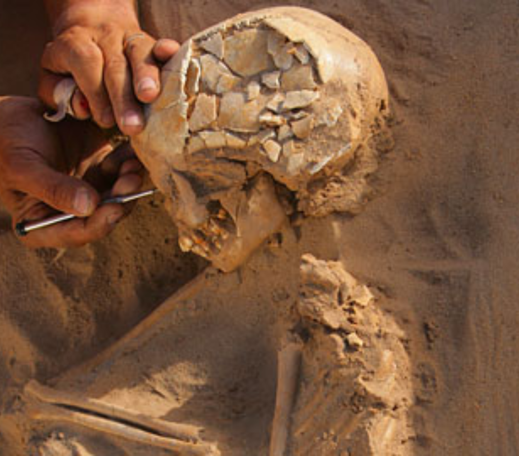 Descoberta do DNA